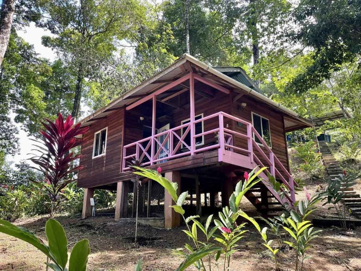 Akwaba Lodge The Gap ภายนอก รูปภาพ