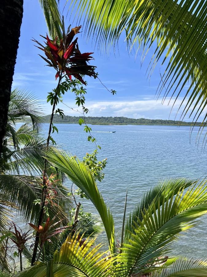Akwaba Lodge The Gap ภายนอก รูปภาพ