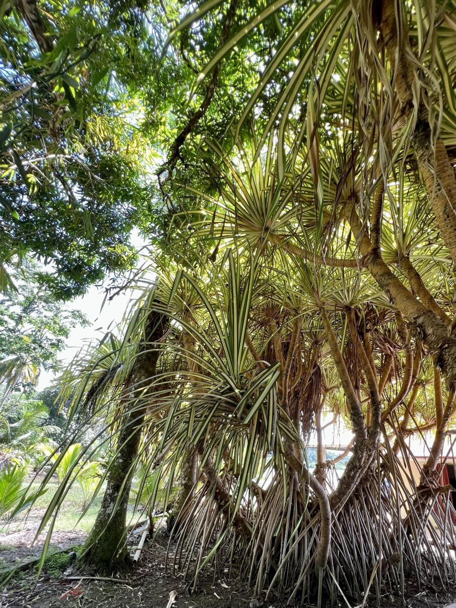 Akwaba Lodge The Gap ภายนอก รูปภาพ