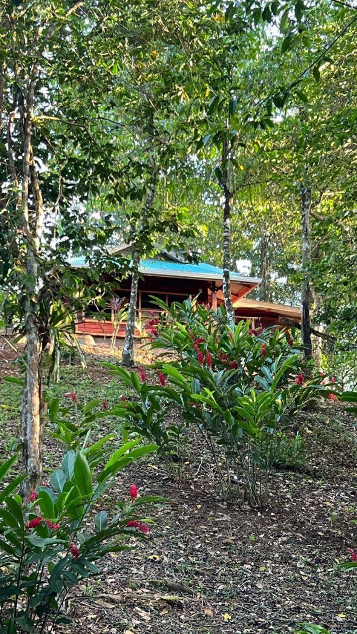 Akwaba Lodge The Gap ห้อง รูปภาพ